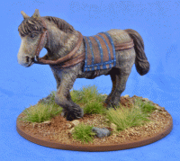 LIV06 Riding Pony (1)