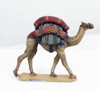 LIV10 Baggage Camels (2)