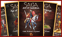 SAGA Warbands (Prebuilt & Build-Your-Own)
