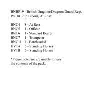 BNBP19 Napoleonic British Dragoon/Dragoon Guard Regt - Pre 1812, Bicorn, At Rest (12 Mounted Figures)