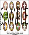 CELT(GB)3 Celt Shields (12)