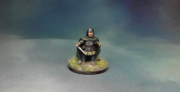 SDFS01/SWZ07 The Grey Wizard and the Armoured Burglar (Sorceror) - SAGA Age of Magic (2 figures)
