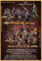 Gallic Starter Warband (4 points) - SAGA Age of Hannibal