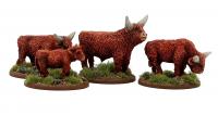 LIV02 Highland Cattle