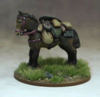 LIV03 Pack Pony (Kite Shield) (1 Figure)
