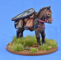 LIV03 Pack Pony (Kite Shield)