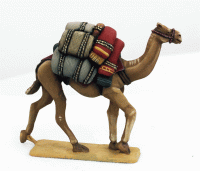 LIV10 Baggage Camels
