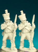 Peninsula War French Starter Force (25 figures & bases)