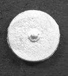 SC32 Large Dark Age Round Shields (12 pieces)