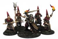 SOM01 Grand Commander of The Order Militant (1 Figure) - SAGA Age of Magic