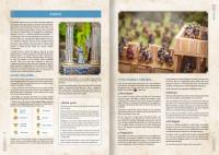 SRB29 SAGA Age of Caesars (Supplement) [PRE-ORDER]