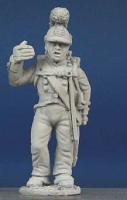 WN29 Wurttemberg Line Infantryman 1811 To 1812 - Standard Bearer, Standing (1 Figure)