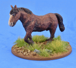 LIV05 Shaggy Pony (Bareback)