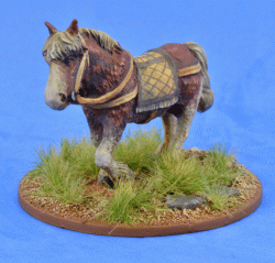 LIV06 Riding Pony (1)