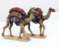 LIV10 Baggage Camels