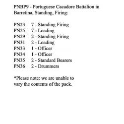 PNBP9 Portuguese Cacadore In Barretina Cap, Standing Firing / Loading (24 Figures)