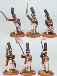 RNRPK8 Mixed Russian Grenadier / Carabinier Command In 1809 Shako With Busch Plume, Advancing (6 Figures)