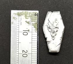 SC103 Undead Coffin Shield /w Demon Motif (12 pieces)