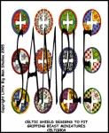 CELT(GB)4 Celt Shields (12)
