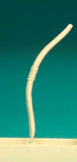 EQ67 Longbows [8 Per Pack]