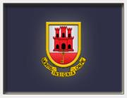 F48 - 3 Battalion standard spear points pre-1812 reforms.
