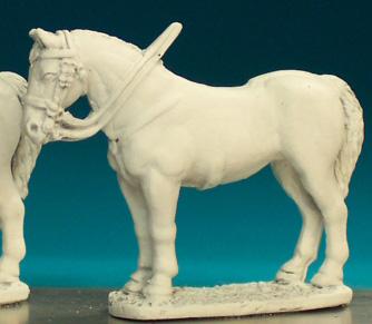 HV1B Heavy Cavalry Horse - Standing, Head Up (1 horse)