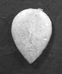 SC18 Large Teardrop Infantry Shields (12 pieces)