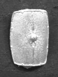 SC19 Clipped Roman Scutum (12 pieces)