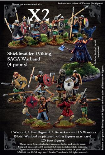 SSM04 Shieldmaiden Warriors (8), SSM04