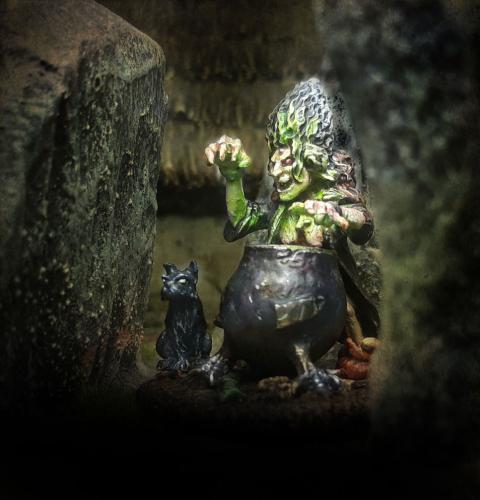 SWZ04 The Witch & her Cat (Sorceror) - SAGA Age of Magic (1 figure